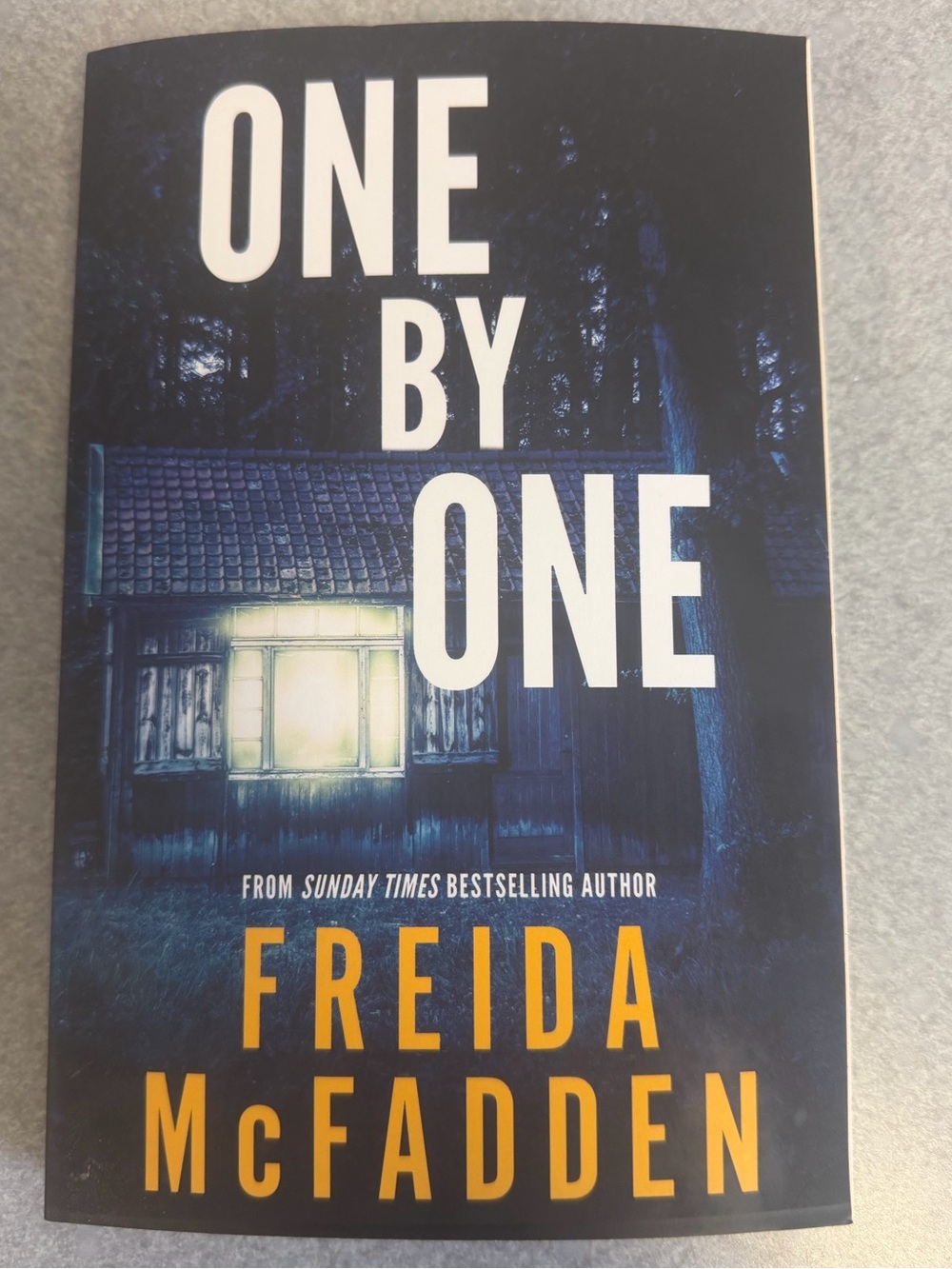 Thriller Novel: “One By One” by Freida McFadden